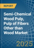 Semi-Chemical Wood Pulp, Pulp of Fibers Other than Wood - Market Analysis, Forecast, Size, Trends and Insights- Product Image