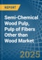 Semi-Chemical Wood Pulp, Pulp of Fibers Other than Wood - Market Analysis, Forecast, Size, Trends and Insights - Product Thumbnail Image