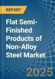 Flat Semi-Finished Products of Non-Alloy Steel - Market Analysis, Forecast, Size, Trends and Insights- Product Image