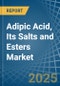 Adipic Acid, Its Salts and Esters - Market Analysis, Forecast, Size, Trends and Insights - Product Thumbnail Image