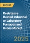 Resistance Heated Industrial or Laboratory Furnaces and Ovens - Market Analysis, Forecast, Size, Trends and Insights - Product Image