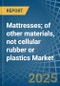 Mattresses; of other materials, not cellular rubber or plastics - Market Analysis, Forecast, Size, Trends and Insights - Product Thumbnail Image