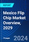 Mexico Flip Chip Market Overview, 2029 - Product Thumbnail Image