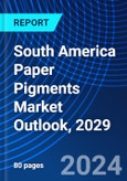 South America Paper Pigments Market Outlook, 2029- Product Image