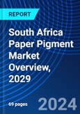 South Africa Paper Pigment Market Overview, 2029- Product Image