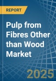 Pulp from Fibres Other than Wood - Market Analysis, Forecast, Size, Trends and Insights- Product Image