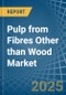 Pulp from Fibres Other than Wood - Market Analysis, Forecast, Size, Trends and Insights - Product Thumbnail Image