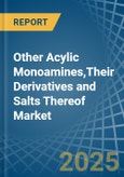 Other Acylic Monoamines,Their Derivatives and Salts Thereof - Market Analysis, Forecast, Size, Trends and Insights- Product Image