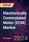 Electronically Commutated Motor (ECM) Market 2024-2028 - Product Image