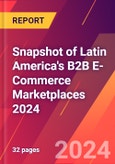 Snapshot of Latin America's B2B E-Commerce Marketplaces 2024- Product Image