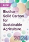 Biochar - Solid Carbon for Sustainable Agriculture - Product Thumbnail Image