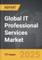 IT Professional Services - Global Strategic Business Report - Product Thumbnail Image