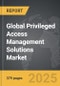 Privileged Access Management Solutions - Global Strategic Business Report - Product Image