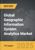 Geographic Information System Analytics - Global Strategic Business Report- Product Image