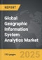 Geographic Information System Analytics - Global Strategic Business Report - Product Image