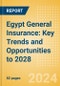 Egypt General Insurance: Key Trends and Opportunities to 2028 - Product Thumbnail Image