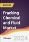 Fracking Chemical and Fluid Market Report: Trends, Forecast and Competitive Analysis to 2030 - Product Image