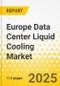 Europe Data Center Liquid Cooling Market: Focus on Product, Application, and Country Analysis - Analysis and Forecast, 2024-2034 - Product Image