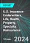 U.S. Insurance Underwriters (Direct Carriers), Life, Health, Property (P&C), Specialty, Reinsurance: Analytics, Extensive Financial Benchmarks, Metrics and Revenue Forecasts to 2030 - Product Thumbnail Image