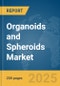 Organoids and Spheroids Market Report 2025 - Product Image