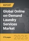 Online On-Demand Laundry Services - Global Strategic Business Report - Product Image