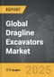 Dragline Excavators - Global Strategic Business Report - Product Thumbnail Image