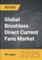 Brushless Direct Current (BLDC) Fans - Global Strategic Business Report - Product Thumbnail Image