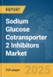 Sodium Glucose Cotransporter 2 (SGLT2) Inhibitors Market Report 2025 - Product Image