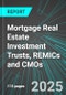 Mortgage Real Estate Investment Trusts (Mortgage REITs), REMICs and CMOs (U.S.): Analytics, Extensive Financial Benchmarks, Metrics and Revenue Forecasts to 2031 - Product Image