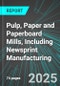 Pulp, Paper and Paperboard Mills, Including Newsprint Manufacturing (U.S.): Analytics, Extensive Financial Benchmarks, Metrics and Revenue Forecasts to 2031 - Product Image