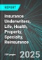 Insurance Underwriters (Direct Carriers), Life, Health, Property (P&C), Specialty, Reinsurance (U.S.): Analytics, Extensive Financial Benchmarks, Metrics and Revenue Forecasts to 2031 - Product Thumbnail Image