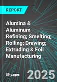 Alumina & Aluminum Refining; Smelting; Rolling; Drawing; Extruding & Foil Manufacturing (U.S.): Analytics, Extensive Financial Benchmarks, Metrics and Revenue Forecasts to 2031- Product Image