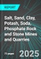 Salt, Sand, Clay, Potash, Soda, Phosphate Rock and Stone Mines and Quarries (U.S.): Analytics, Extensive Financial Benchmarks, Metrics and Revenue Forecasts to 2031 - Product Image