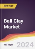 Ball Clay Market Report: Trends, Forecast and Competitive Analysis to 2031- Product Image