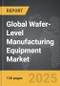 Wafer-Level Manufacturing Equipment - Global Strategic Business Report - Product Image