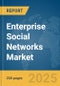 Enterprise Social Networks Market Report 2025 - Product Thumbnail Image