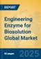 Engineering Enzyme for Biosolution Global Market Insights 2025, Analysis and Forecast to 2030, by Market Participants, Regions, Technology, Application - Product Thumbnail Image