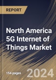 North America 5G Internet of Things Market Size, Share & Trends Analysis Report By Offering, By Enterprise Size (Large Enterprises and Small & Medium Enterprises), By Network Type, By End User, By Country and Growth Forecast, 2024 - 2031- Product Image