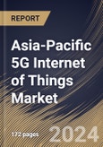 Asia-Pacific 5G Internet of Things Market Size, Share & Trends Analysis Report By Offering, By Enterprise Size (Large Enterprises and Small & Medium Enterprises), By Network Type, By End User, By Country and Growth Forecast, 2024 - 2031- Product Image