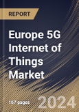 Europe 5G Internet of Things Market Size, Share & Trends Analysis Report By Offering, By Enterprise Size (Large Enterprises and Small & Medium Enterprises), By Network Type, By End User, By Country and Growth Forecast, 2024 - 2031- Product Image