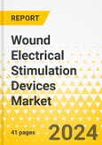 Wound Electrical Stimulation Devices Market - A Global and Regional Analysis : Focus on Region, Country-Level Analysis, and Competitive Landscape - Analysis and Forecast, 2023-2030- Product Image
