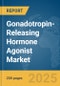 Gonadotropin-Releasing Hormone (GnRH) Agonist Market Report 2025 - Product Image