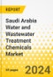 Saudi Arabia Water and Wastewater Treatment Chemicals Market Analysis: Focus on Product and Application - Analysis and Forecast, 2024-2034 - Product Image