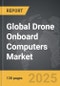 Drone Onboard Computers - Global Strategic Business Report - Product Thumbnail Image