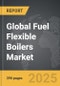 Fuel Flexible Boilers - Global Strategic Business Report - Product Thumbnail Image