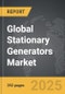 Stationary Generators - Global Strategic Business Report - Product Image