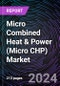 Micro Combined Heat & Power (Micro CHP) Market Size and Forecast 2022-2031: Global and Regional Share, Trends, and Growth Opportunity Analysis - Product Image