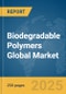 Biodegradable Polymers Global Market Report 2025 - Product Thumbnail Image