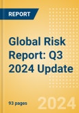 Global Risk Report: Q3 2024 Update- Product Image