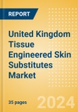 United Kingdom Tissue Engineered Skin Substitutes Market Outlook to 2033 - Acellular Skin Substitutes and Cellular Skin Substitutes- Product Image